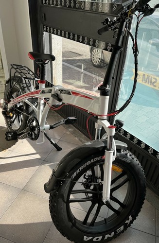 Bicicletta elettrica