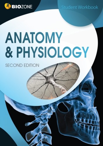 Anatomy physiology student - anatomy,