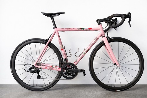 Pegoretti love campy - pegoretti, sr