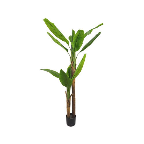 Pianta artificiale banano per - pianta,