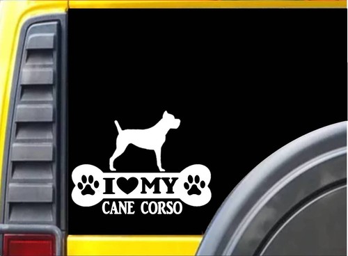 Adesivo cane corso osso - adesivo, 8