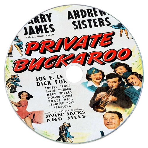Private buckaroo public - private,