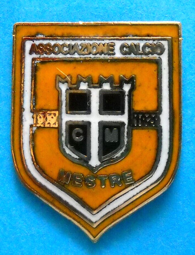 Distintivo spilla pin badge - distintivo,
