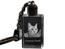 Americano Shorthair - Orologio Parete Con Gatto, Scaffale Stampa, Personalizzato