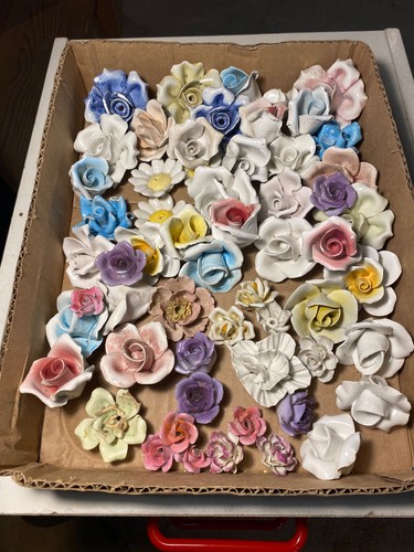 Bbb lotto fiori in - 50+,