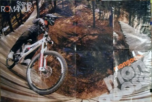 Poster mongoose steve - poster,