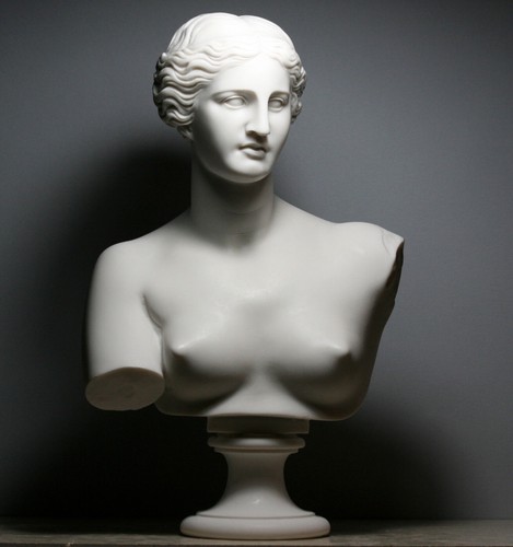 Testa busto della - busto, dea