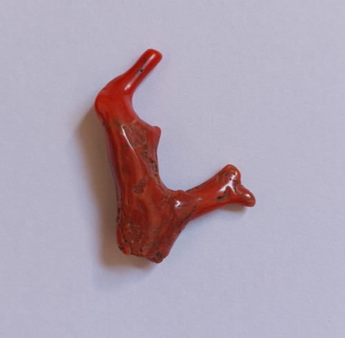 Ramo naturale corallo - , rosso