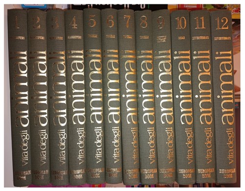 Enciclopedia vita degli