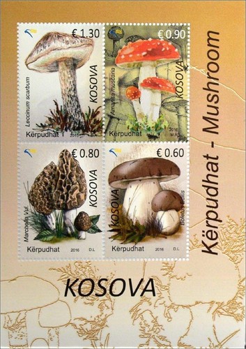 Kosovo 2016 flora funghi - kosovo,