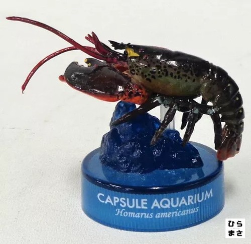 American lobster capsule - lobster,