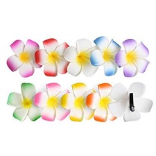 Longsing 10 Pezzi Clip per