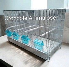 Gabbia Cova da 65 cm per Cova uccelli Zincata con accessori inclusi 