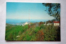 CARTOLINA CALABRIA GAMBARIE DI