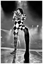 Freddy Mercury Art, stampa su
