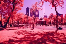 Filtro infrarossi, IRchrome /