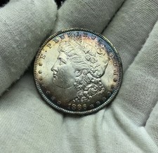 1886 P DOLLARO MORGAN! GEM