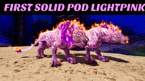 Ark survival ascended - ark,