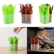 Umidificatore per terrario di