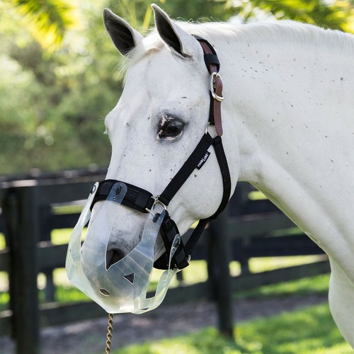 Thinline muso flessibile filly - thinline,