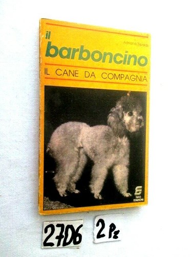 Barboncino cane da - il,