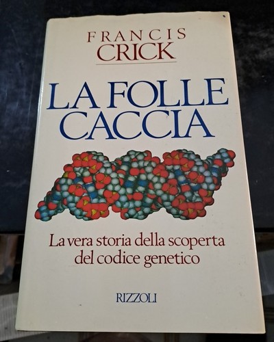 Folle caccia francis - -,