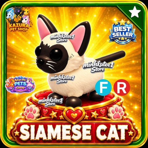 Adopt gatto siamese - 🐱,
