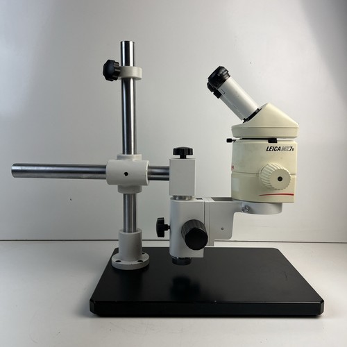 Leica mz75 microscopio - mz75,