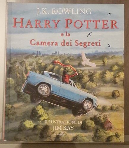 Harry potter camera dei - harry, la