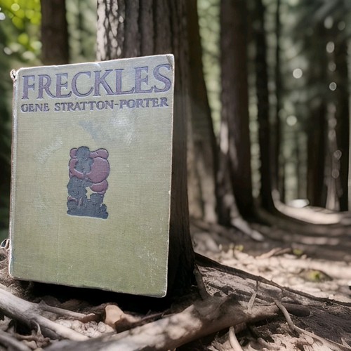 Freckles gene stratton porter - freckles,