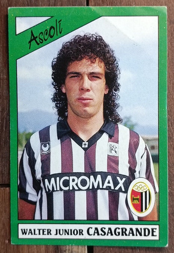 Walter casagrande 11 - walter,