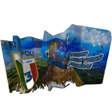 car windshield visor