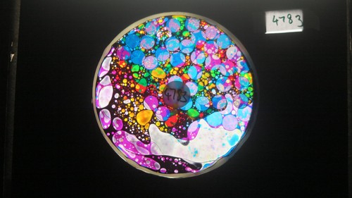 Ruota olio bubble vision - bubble, con