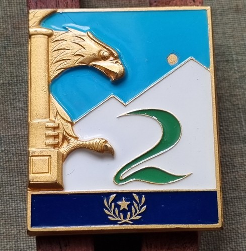 Distintivo reggimento - distintivo, 2