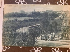 velletri est - fp verdina reg. cantina sperimentale bella animazione ed. lizzini