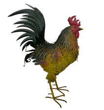 Gallo pollo gigante latta - gallo,