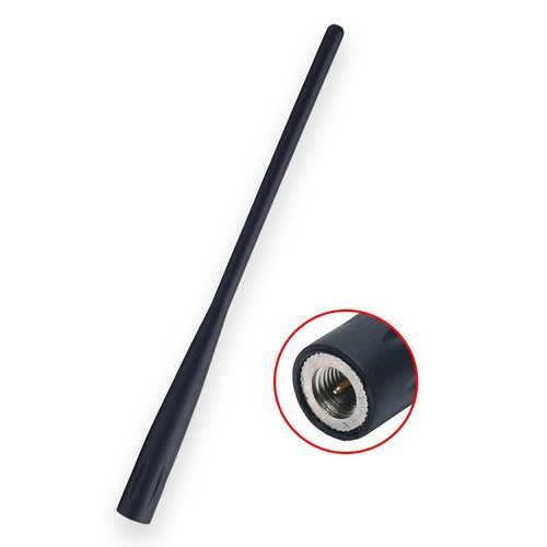 Antenna dual band sma maschio - antenna,