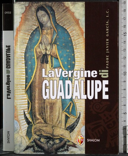 Vergine guadalupe padre - vergine,