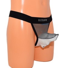 Perizoma proboscide Perizoma