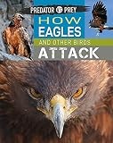 Predator prey how eagles - prey:,