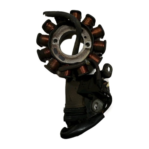 Statore magnete poli - statore,