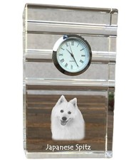 Japan-Spitz,Giapponese
