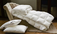 Piumone Interno Invernale di Nuova Ecopiuma Termoisolante Anallergica Antiacaro