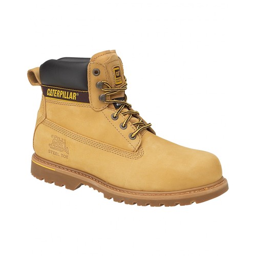 Caterpillar holton - caterpillar,