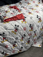 Disney Mickey Mouse Twin