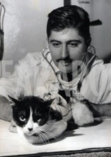 Foto Vintage Animali Parigi Il gatto Miss Univers Doudou, 1962, stampa 18x13 cm