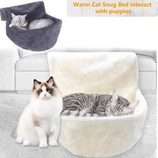 Gatto Gattino Appeso Radiatore