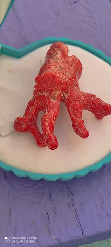 Corallo rosso naturale - rosso,