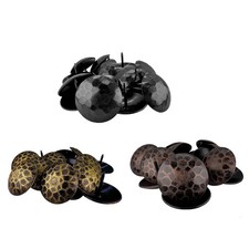 Chiodi clavo decorativi - decorativi, 1,5"