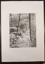 Agostino Zaliani incisione